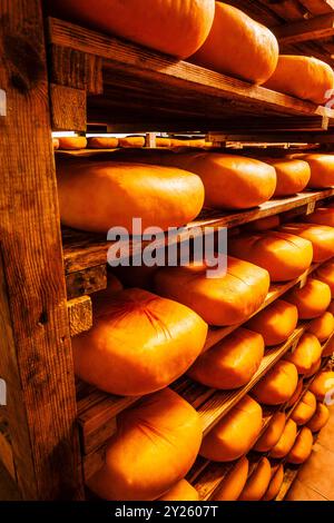 Scaffale con essiccazione del formaggio, fabbricazione artigianale di formaggio Mahon, Alcaiduset, Alaior, Minorca, Isole Baleari, Spagna. Foto Stock