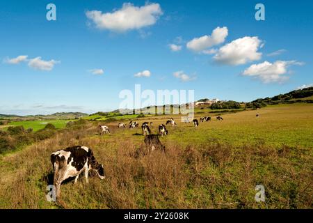 Area zootecnica, Lluriach Vey. Mercadal. Minorca. Isole Baleari. Spagna. Foto Stock