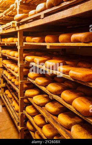 Scaffale con essiccazione del formaggio, fabbricazione artigianale di formaggio Mahon, Alcaiduset, Alaior, Minorca, Isole Baleari, Spagna. Foto Stock