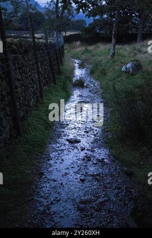 Un sentiero bagnato e sassoso nel Lake District National Park, il 2 settembre 2024, a Stonethwaite, Inghilterra. Foto Stock