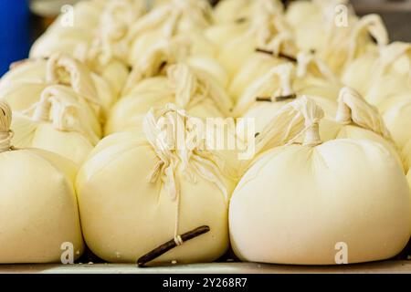 Formaggio fresco sgocciolato, fabbricazione artigianale di formaggio Mahon, Alcaiduset, Alaior, Minorca, Isole Baleari, Spagna. Foto Stock