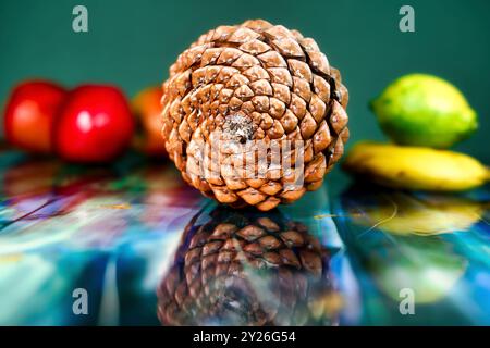 Vista posteriore del cono di pino per illustrare la sequenza di Fibonacci in natura, con ombre reali e colorato sfondo di frutta. Foto Stock