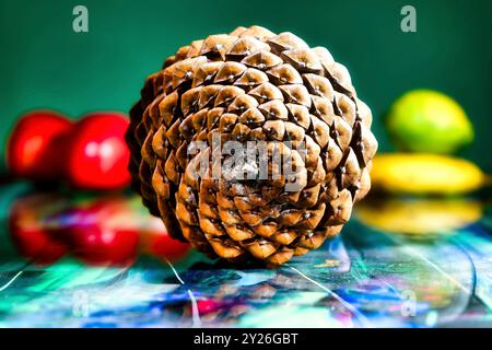 Vista posteriore del cono di pino per illustrare la sequenza di Fibonacci in natura, con ombre reali e colorato sfondo di frutta. Foto Stock