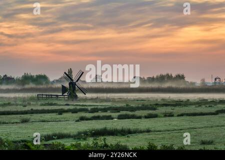 Piccolo mulino a vento olandese e campo alba al villaggio di Zaanse Schans, Amsterdam Paesi Bassi Foto Stock