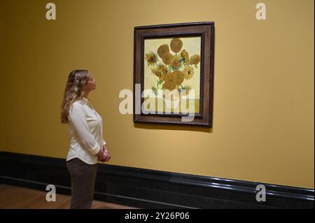 I GIRASOLI DI FILADELFIA SONO STATI LASCIATI INTIMAMENTE DAGLI AMICI DI VAN GOGH, IL SIGNOR E LA SIGNORA GINOUX AD ARLES E SONO STATI ACQUISTATI DA CARROL TYSON, DI CHETNUT HILL PHILADELPHIA NEL 1935, PRIMA DI ESSERE ACQUISTATO DAL PHILADELPHIA MUSEUM OF ART NEL 1963 . I GIRASOLI DI LONDRA FURONO INVIATI AL FRATELLO DI VAN GOGH THEO NEL MAGGIO 1889 E RIMASERO NELLA FAMIGLIA FINO AL LA NATIONAL GALLERY ACQUISTÒ LA FOTO NEL 1924 . LE DUE IMMAGINI NON SONO MAI STATE ESPOSTE INSIEME DA QUANDO ERANO NELLO STUDIO DELL'ARTISTA ALL'INIZIO DEL 1889. I DUE GIRASOLI SARANNO MOSTRATI FIANCHEGGIANDO LA BERCEUSE (1888) IL SUO RITRATTO SIMBOLICO DI UNA DONNA CON CORDONE CRADE Foto Stock