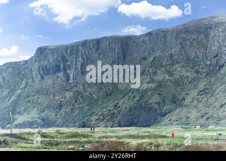 Le scogliere torreggianti si innalzano drammaticamente dall'aspra costa islandese. La lussureggiante vegetazione verde contrasta con il terreno aspro e roccioso. Un senso di solitudine Foto Stock