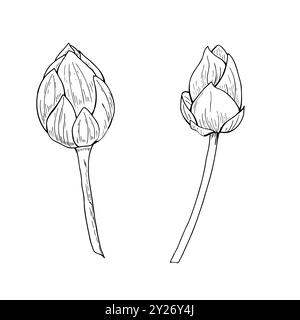 Clip art per illustrazioni isolate vettoriali monocromatiche con gemme Waterlily su sfondo bianco. Due fiori di loto disegnati a mano disegni in linea con inchiostro nero. Illustrazione Vettoriale