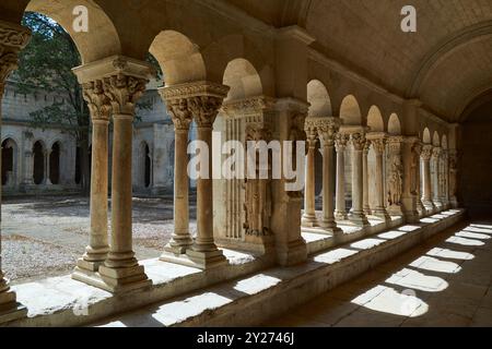 Sculture romaniche e colonne nei chiostri della chiesa di San Trofime, Arles, Provenza, Francia Foto Stock