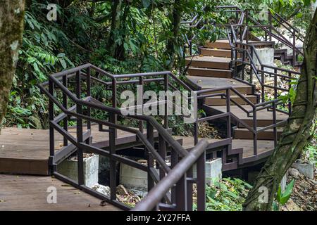 Un percorso tortuoso con scale in una foresta tropicale, la Thailandia Foto Stock