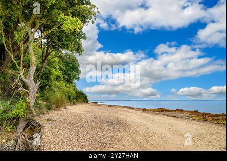 Spiaggia di St Helens Duver, Isola di Wight, Inghilterra, Regno Unito Foto Stock