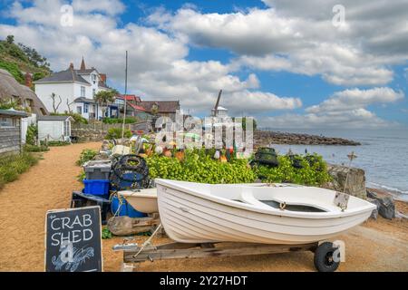 Steephill Cove, vicino a Ventnor, Isola di Wight, Inghilterra, Regno Unito Foto Stock