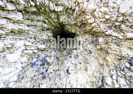 noduli di flint nella formazione calcarea bianca dell'ulster sulla costa settentrionale di antrim tra white park bay e portbraddan irlanda del nord regno unito Foto Stock