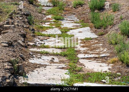 Vecchia strada in pietra con erba: Parte dell'antica città macedone Stobi (359 a.C.) - sito archeologico Foto Stock