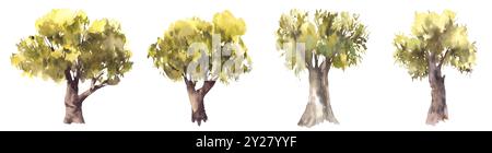 Alberi verdi decidui. Illustrazione ad acquerello dipinta a mano. Sagome di cespugli frondosi, querce, tiglio, ulivi, ontani o faggi per te Foto Stock