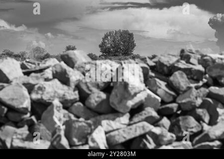 Old Rocks Framing a Tree: Top of the World Concept at Ancient Stobi (359 a.C.) Foto Stock