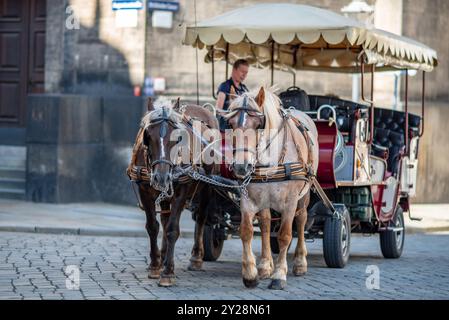 Carrozza trainata da cavalli, popolare forma di visite turistiche per i turisti che visitano lo storico quartiere della città vecchia di Dresda, provincia della Sassonia della Germania l'8 settembre Foto Stock