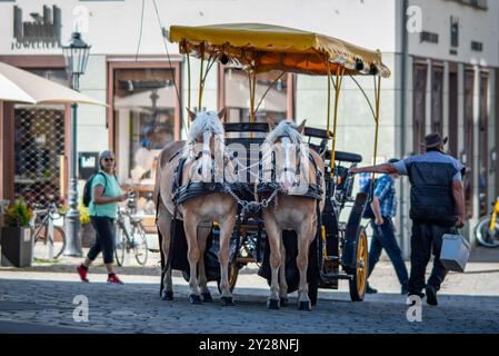Carrozza trainata da cavalli, popolare forma di visite turistiche per i turisti che visitano lo storico quartiere della città vecchia di Dresda, provincia della Sassonia della Germania l'8 settembre Foto Stock