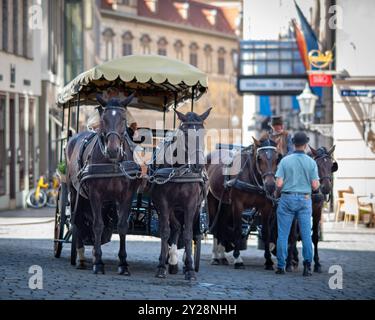 Carrozza trainata da cavalli, popolare forma di visite turistiche per i turisti che visitano lo storico quartiere della città vecchia di Dresda, provincia della Sassonia della Germania l'8 settembre Foto Stock