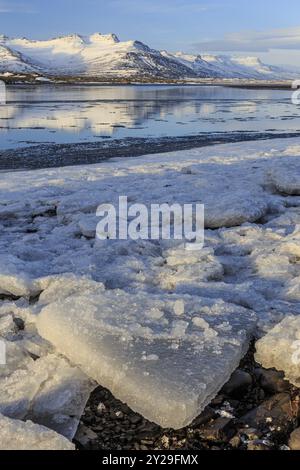 Pianali di ghiaccio sulla riva di un fiordo di fronte a montagne innevate, soleggiati, Breiddalsvik, fiordi orientali, Islanda, Europa Foto Stock