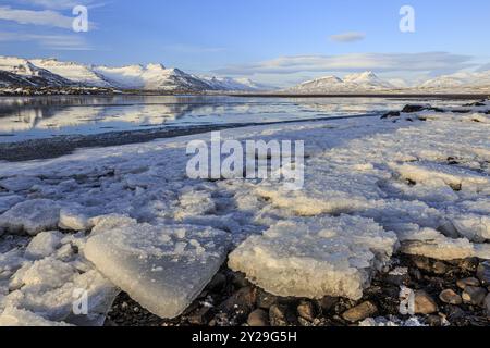 Pianali di ghiaccio sulla riva di un fiordo di fronte a montagne innevate, soleggiati, Breiddalsvik, fiordi orientali, Islanda, Europa Foto Stock