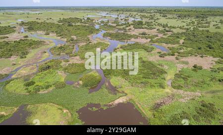 Ripresa aerea del paesaggio tipico delle paludi di Pantanal con lagune, foreste, prati, fiumi, campi, Mato grosso, Brasile, Sud America Foto Stock