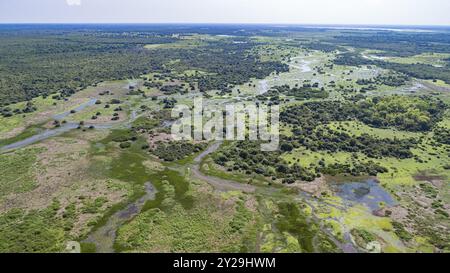 Ripresa aerea del tipico paesaggio delle paludi di Pantanal con lagune, foreste, prati, fiumi, campi e orizzonte senza fine, Mato grosso, Brasile, South Amer Foto Stock