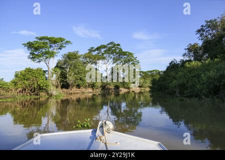 Vista di un tipico fiume Pantanal da una barca in una giornata di sole, Pantanal Wetlands, Mato grosso, Brasile, Sud America Foto Stock