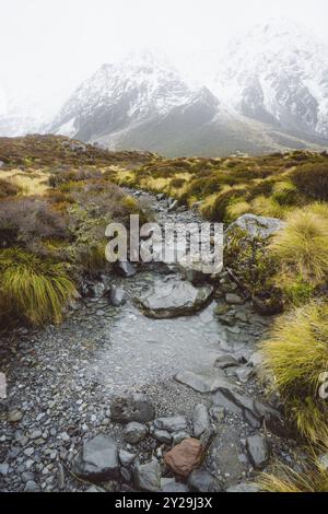 Ruscello che scorre attraverso un paesaggio montuoso, roccioso e erboso con neve sullo sfondo, Hooker Valley Track, nuova Zelanda, Oceania Foto Stock