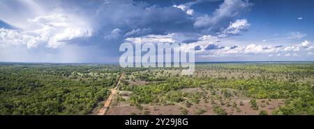 Panorama aereo panoramico panorama della strada sterrata Transpantaneira con cielo e pioggia drammatici nel paesaggio tipico delle terre umide Pantanal Nord, Mato Gross Foto Stock