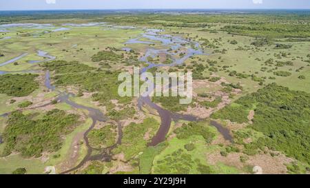 Ripresa aerea del paesaggio tipico delle paludi di Pantanal con lagune, foreste, prati, fiumi, campi, Mato grosso, Brasile, Sud America Foto Stock