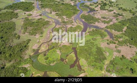 Ripresa aerea del paesaggio tipico delle paludi di Pantanal con lagune, foreste, prati, fiumi, campi, Mato grosso, Brasile, Sud America Foto Stock