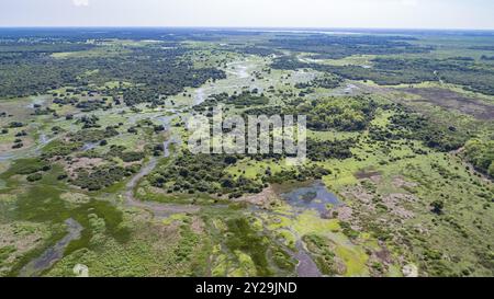 Ripresa aerea del tipico paesaggio delle paludi di Pantanal con lagune, foreste, prati, fiumi, campi e orizzonte senza fine, Mato grosso, Brasile, South Amer Foto Stock