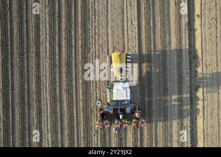 Vista aerea dall'alto di un trattore che tira una piantatrice automatica di pomodori che lavora in un campo, semina piantine e posa di tubi di irrigazione Foto Stock