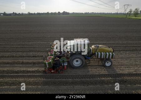 Vista aerea di piantine di pomodori piantate da trattori in un vasto campo, che fondono tecnologia e tradizione agricola. Scorcio affascinante dell'agricoltura italiana Foto Stock