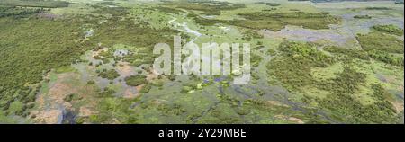 Panorama aereo delle tipiche paludi Pantanali con lagune, boschi, prati, fiume, Mato grosso, Brasile, Sud America Foto Stock