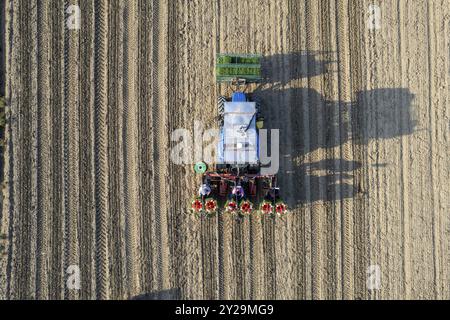 Vista aerea dall'alto di un trattore che tira una piantatrice automatica di pomodori che lavora in un campo, semina piantine e posa di tubi di irrigazione Foto Stock