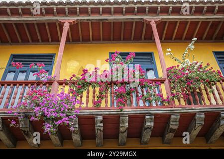 Vista ad angolo basso della colorata facciata della casa coloniale con un balcone decorato con fiori, Cartagena, Colombia, Sud America Foto Stock