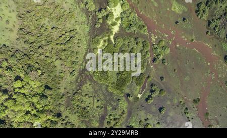 Ripresa aerea del paesaggio di Pantanal con lagune, foreste, prati, fiume, campi, Pantanal Wetlands, Mato grosso, Brasile, Sud America Foto Stock