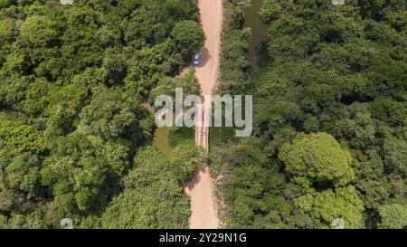 Vista aerea ravvicinata di parte della strada sterrata della Transpantaneira con ponte e fitta vegetazione, paludi di Pantanal, Mato grosso, Brasile, Sud America Foto Stock