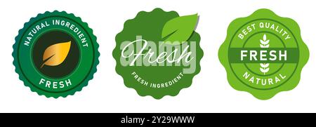 Ingredienti freschi verdure biologiche timbro badge adesivo verde simbolo cibo sano set design collezione Illustrazione Vettoriale