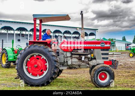 Massey - Ferguson 1100 Foto Stock