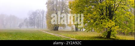 panorama del parco autunnale. alberi con fogliame luminoso. giorno di foggy. Foto Stock