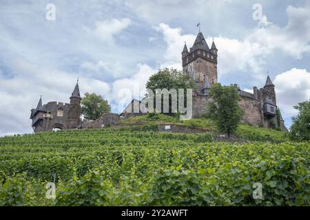 Castello medievale di Cochem nel mezzo dei vigneti, in Germania Foto Stock