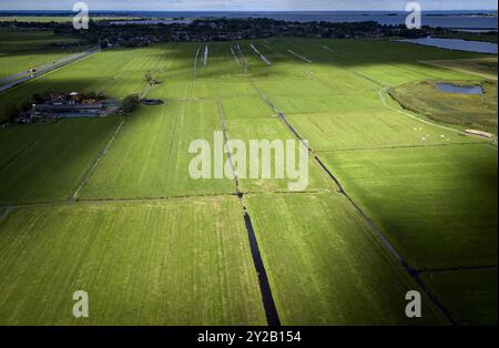 Paesi Bassi, Broek in Waterland. 8 settembre 2024. Meadows vicino a Broek a Waterland. Foto: ANP / Hollandse-Hoogte / Ramon van Flymen netherlands Out - belgium Out Foto Stock