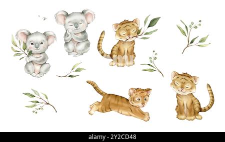 Set di simpatici kawaii koala e tigri con eucalipto di ramo verde. Acquerello illustrazione disegnata a mano animale australiano isolato sullo sfondo Foto Stock