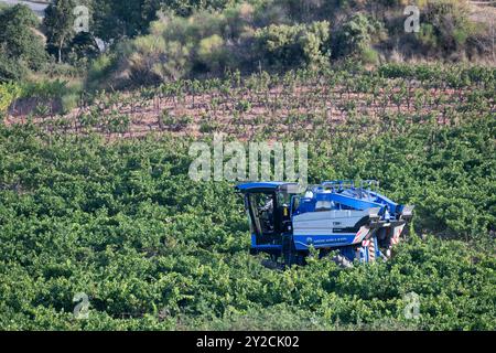 Puyloubier, Francia, 10 settembre 2024. Una macchina per la raccolta dell'uva in azione tra i vigneti panoramici di Puyloubier, la più grande di Bouches-du-Rhône. Situata nel cuore della Provenza, questa regione è famosa per i suoi vini AOC Côtes de Provence Sainte-Victoire. Vendemmia in corso nel sud della Francia, la macchina scivola attraverso filari di vigne lussureggianti, raccogliendo frutta matura destinata a vini di classe mondiale. Crediti: David GABIS/Alamy Live News Foto Stock