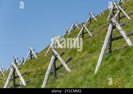 Recinzioni di neve in legno su pendio verde, sparate con la luce brillante dell'estate vicino al rifugio Belvedere, Italia Foto Stock