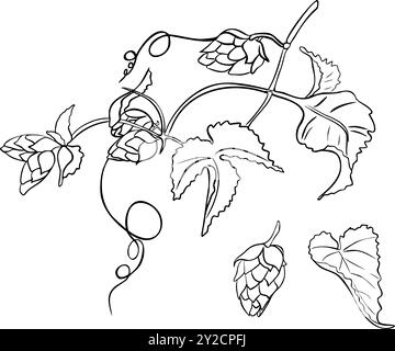 Hop Vine, humulus Plant silhouette bianco e nero illustrazione vettoriale isolata. Saltare i coni sul contorno delle foglie di ramo disegnato a mano in uno schizzo botanico per des Illustrazione Vettoriale