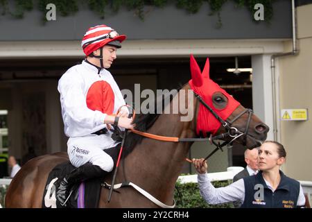 Ascot, Berkshire, Regno Unito. 7 settembre 2024. BRIONI, cavalcato dal fantino James Doyle, si dirige verso l'autodromo prima di vincere l'UK Hi-Fi Show Live 21-22 settembre "Confined" handicap Stakes (Classe 3) (per cavalli che hanno vinto non più di UNA gara) il secondo giorno del Big Food and drink Festival all'Ascot Racecourse nel Berkshire. Proprietaria, signora M C Sweeney e Alan King, allenatore Alan King. Crediti: Maureen McLean/Alamy Foto Stock