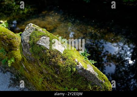 Una pietra intemprata e coperta di muschio illuminata dalla luce del sole, arroccata accanto ad una tranquilla piscina riflettente Foto Stock